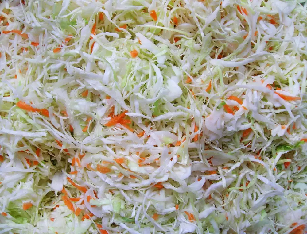 Kysané Zelí A Bezezbytková Dieta