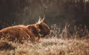 Jak Přežít Rozchod